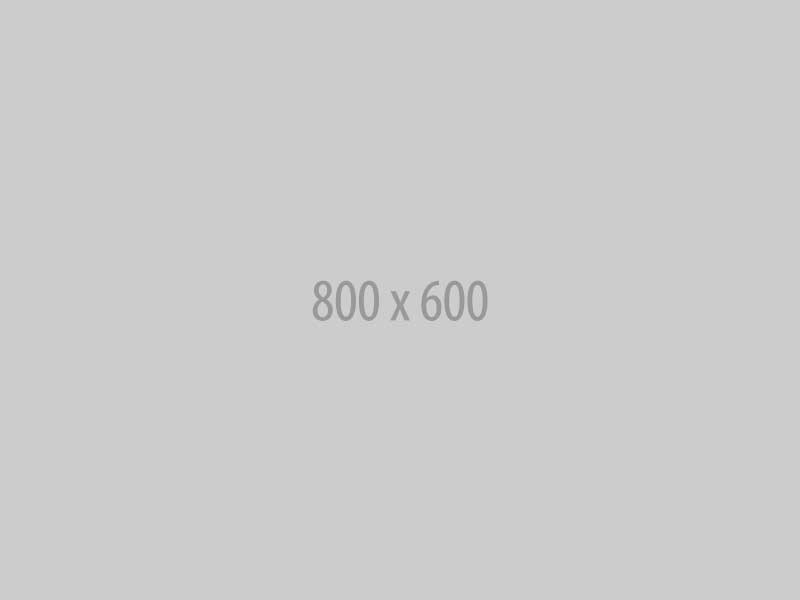 Dummy Image 600 x 800 Pixel